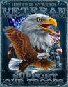 16 x 12.5-Inch Tin United States Veteran Support Our Troops Sign