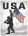 16-Inch Tin Sign "Usa" Sasquatch And Flag