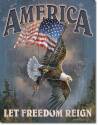America Let Freedom Reign Metal Sign