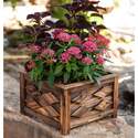 15-Inch X 12-Inch, Large, Square, Wooden Planter