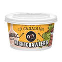 18 Canadian Garlic Scented Nightcrawlers Live Bait
