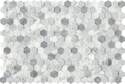 12 x 18-Inch 7.55-Sq-Ft Link White 1-Inch Hex Mosaic
