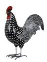 12-Inch Black Rooster With White Dots Metal Statue