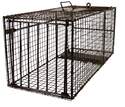12 x 12 x 29-Inch Professional Series Cage Trap