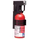 3-Pound Auto Fire Extinguisher