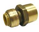 1-Inch X 1-Inch Fip Ptf Brass Lead-Free Straight Adapter