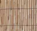 Reed Fencing 13 ft L X 5 ft H