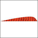 5 In Parabolic Barred Feathers-50 Pack