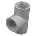 1 in. FIP PVC Tee - Schedule 40, 1-Pack
