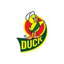 Duck 241508 