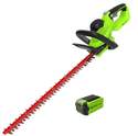 24-Inch 40 Volt Hedge Trimmer With 2Ah USB Battery and Charger