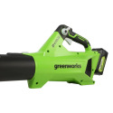 Greenworks 2415902 