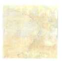 12-Inch X 12-Inch Earthstone Light Tan Marble Vinyl Tile - Carton Of 30