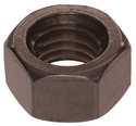 M6-1.00 Metric Stainless Hex Nut