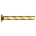 Slotted Flat-Head Brass Machine Screw, 15-Pack, 1/4"-20 x 3/4"