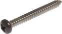 8 x 2-1/2 Stainless Steel Brown Pan Head Phillips Metal Screw
