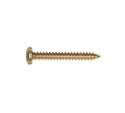 6 x 1-Inch Brass Plated Pan Head Phillips Metal Screw, 50-Pack