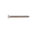Beige Phillips Pan Stainless Sheet Metal Screw, 30-Pack, #8 x 1/2"