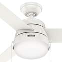 Hunter® 50387 