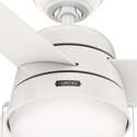 Hunter® 50387 