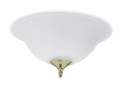 2-Light Frosted White Ceiling Fan Light Kit Or Ceiling Light Fixture