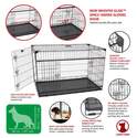 Lucky Dog ZW 51542 