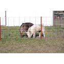 K & K VETERINARY SUPPLY KSM44 
