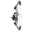 31-Inch Gray F-31 Compound Bowfishing Bow With RefractR Bls And Winch Pro Reel Package