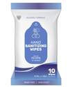 Hand Sanitizing Disinfectant Wipes, 10-Pack