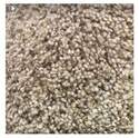 5x7 Assorted Plush Rug, Each