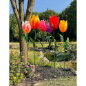 Grande Tulip Garden Stake, Assorted