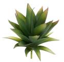 5-1/2-Inch Dark Green And Yellow Botanical