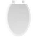 White Elongated Molded Wood Toilet Seat With Ez Clean Hinges