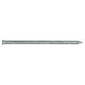 2-1/2-Inch 8d Galvanized Casing Nail 1-Pound