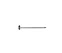 1-3/4-Inch 10-Gauge Electro-Galvanized Roofing Nail 1-Pound