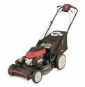 21-Inch Self-Propelled Lawn Mower With 160cc Honda Engine