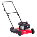 20-Inch Walk-Behind Gas Lawn Mower With Briggs And Stratton 450E Engine
