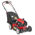 21-Inch 163cc Rear-Wheel Drive Self-Propelled Mower