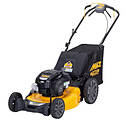 21 in. 163cc Self-Propelled Lawn Mower - Rear Wheel Drive