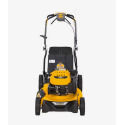 DeWALT® 12AVP2RF039 