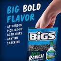 BIGS 500919 