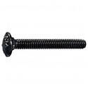 DecorMaster Carriage Bolt — 1/4 in.-20 x 2-1/2 in. L, Black, 25-Pack