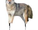 Song Dog Coyote Decoy