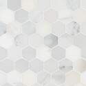 12-Inch x 12-Inch Carrara White 2" Hexagon Honed