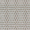 Gray Glossy Penny Round Mosaic