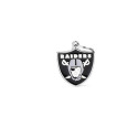 NFL Raiders Pet Identification Tag