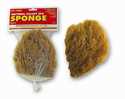 Sponge Sea Natural Grass 6-7 in