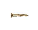Brass Flat Head Phillips Wood Screw , 100-Pack, #14 x 3"
