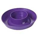 1-Qt Purple Mason Jar Screw-On Waterer Base