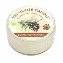 1.5-Ounce Evergreen Forest Mini Candle